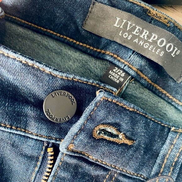 Liverpool Los Angeles - Eco - Abby Skinny Jean - Dynasty Dark - Size 2/26 - Picture 1 of 6